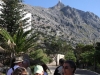 puig_major_0006