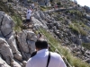 puig_major_0053