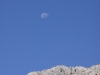 puig_major_0078