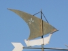 puig_major_0079