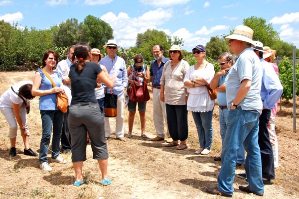 Bodegas Barbara Mesquida 1