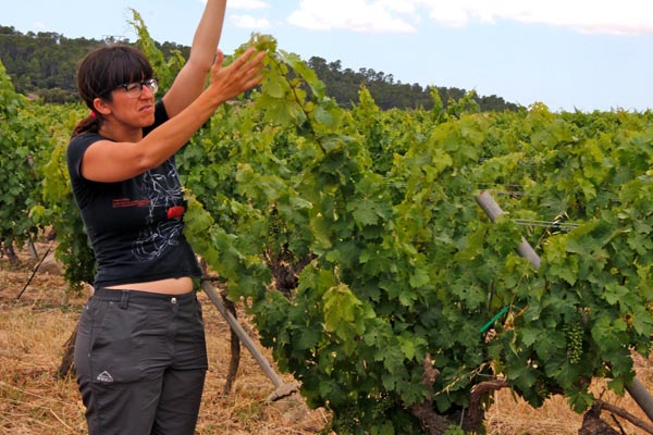 Bodegas Barbara Mesquida 3