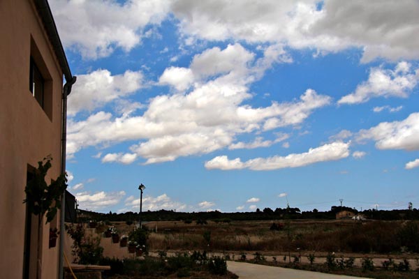 Bodegas Barbara Mesquida 4