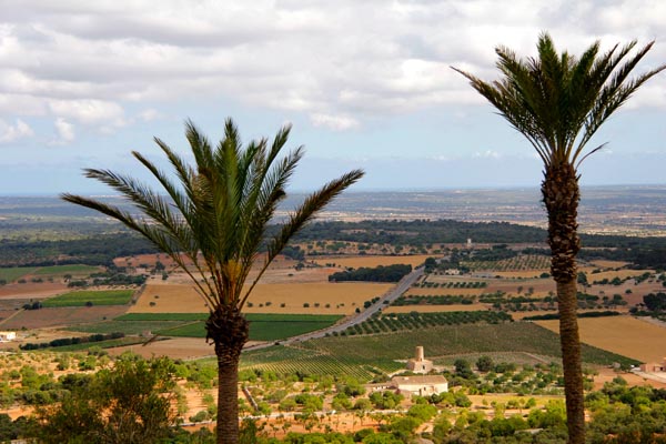 Bodegas Barbara Mesquida 8